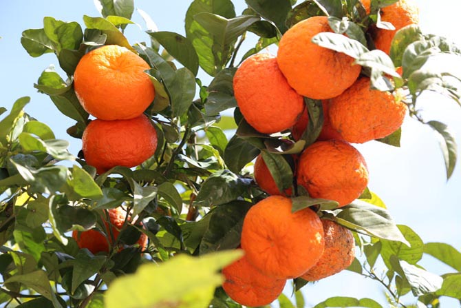 Mit dem roten Blitz unterwegs im Orangental.